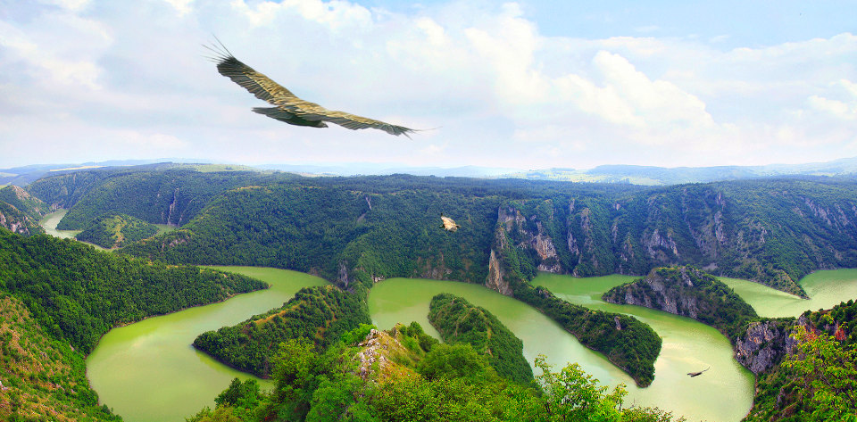 Увац